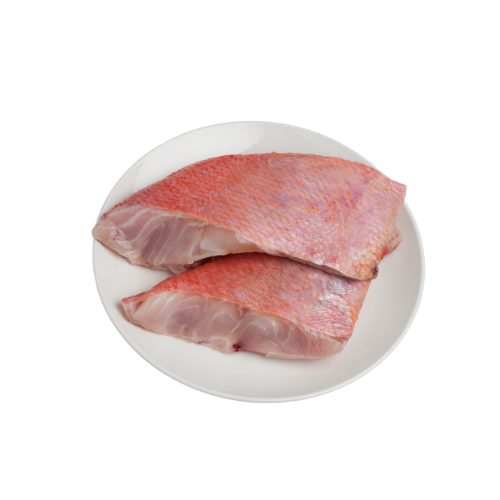 red snapper fillet