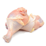 Chicken Drumsticks - 5pcs (500gms approx.)